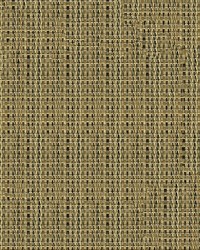 Phifertex Plus 3016019 Burlap BH4 by   