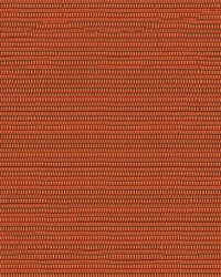 Phifertex Plus 3018436 Metallica Salsa KK3 by   