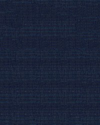 Phifertex Plus 3029023 Dupione Sapphire by   