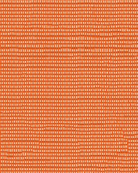 Phifertex Solid 3006857 Orange 412 by   