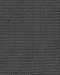 Phifertex Solid 3006894 Black X04 by   