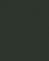 Polaris Marine POL 1624 Ebony by   