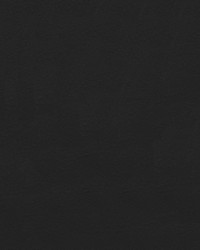 Polaris 9009 Black by   