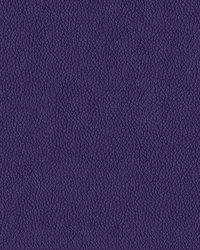 Premier 1009 Plum by   