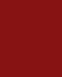 Premier 17 Garnet by   