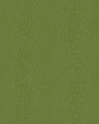 Premier 205 Sprig by   