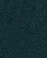 Premier 24 Deep Teal by   