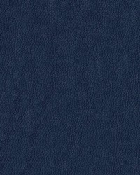 Premier 3006 Navy by   