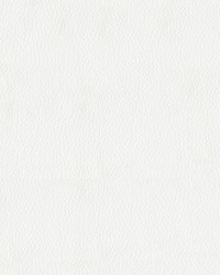 Premier 3822 White by   