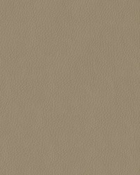 Premier 3948 Taupe by   