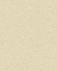 Premier 6003 Cream by   