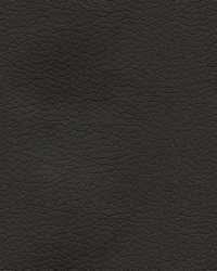 Premier 6009 Chinchilla by   