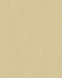 Premier 605 Parchment by   