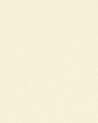 Premier 61 Vanilla by   