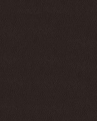 Premier 8020 Chocolate by   