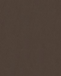 Premier 808 Mocha by   