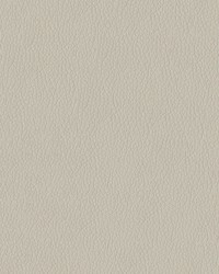 Premier 9003 Grey by   