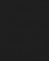 Premier 9009 Black by   