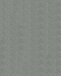 RB Gray by  Abbeyshea Fabrics 