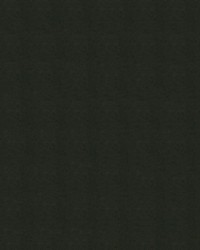 Rogue II RU820 Walnut by   