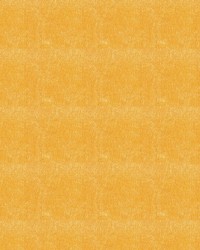 Royal 5009 Butter by   