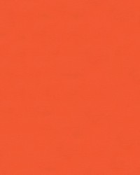 Sampson IV 44 Orange by   