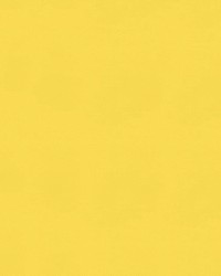 Sampson IV 55 Yellow by   