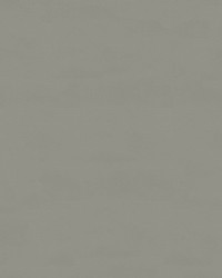 Sampson IV 99 Grey by   