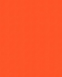 Sampson IV 994 Flor. Orange by   