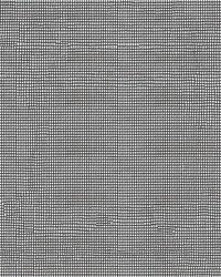 Screening Lt.Blk.Fiberglass by   