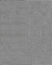 Screening 72Light Black Fiberglass by  Abbeyshea Fabrics 