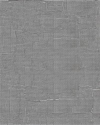 Screening 84 Lt.Blk.Fiberglass by   