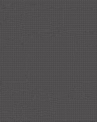 Screening Solar Insect 84 Black by   