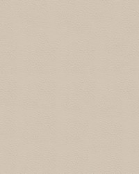 Seabreeze 850 Seafoam by   