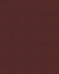 Seabreeze 863 Reel Red by   