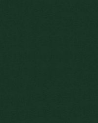 Sealskin 2009 Yew Green by   