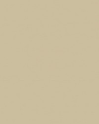 Sealskin 68 Parchment by   