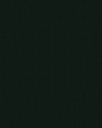 Sealskin 77 Black by   