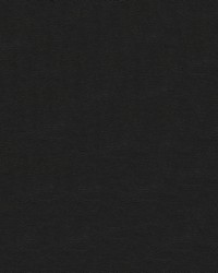 Sierra 9009 Black by  Abbeyshea Fabrics 