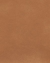 Sierra 5197 CamelMontana by   