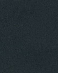 Sierra 6121 Gm Dk BlueMontana by   