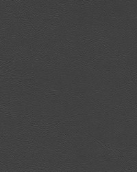 Sierra 6261 Dk GrayMontana by   