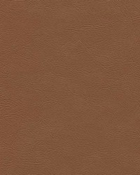 Sierra 6262 CognacMontana by   