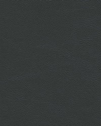 Sierra 6693 GraphiteMontana by   