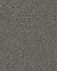 Sierra 6694 Md GrayMontana by   