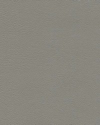 Sierra 6758 Lt GrayMontana by   