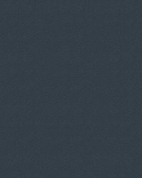 Silvertex 8805 Jet by   