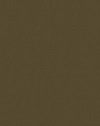 Silvertex 8821 Bottle by   