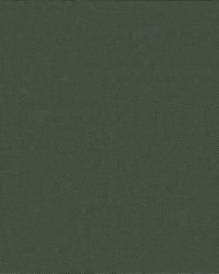 Super Solar Screening 84 Charcoal by   