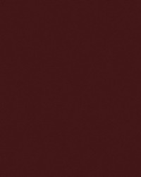 SolarShade 17 Burgundy by   